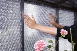 weatherizing the greenhouse