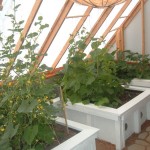 High-altitude greenhouse