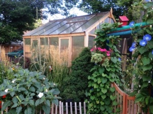 ShanegreenhouseCedar