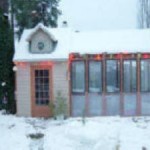 Greenhouse made from old coolers.