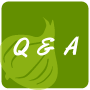 Q & A