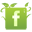Facebook button