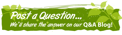 Greenhouse Gardening Questions