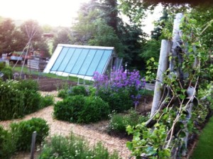 Herbs greenhouse