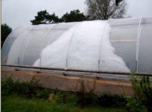 Bubble insulated greenhouse