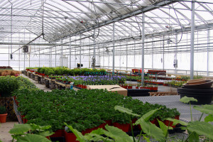 Greenhouse2014